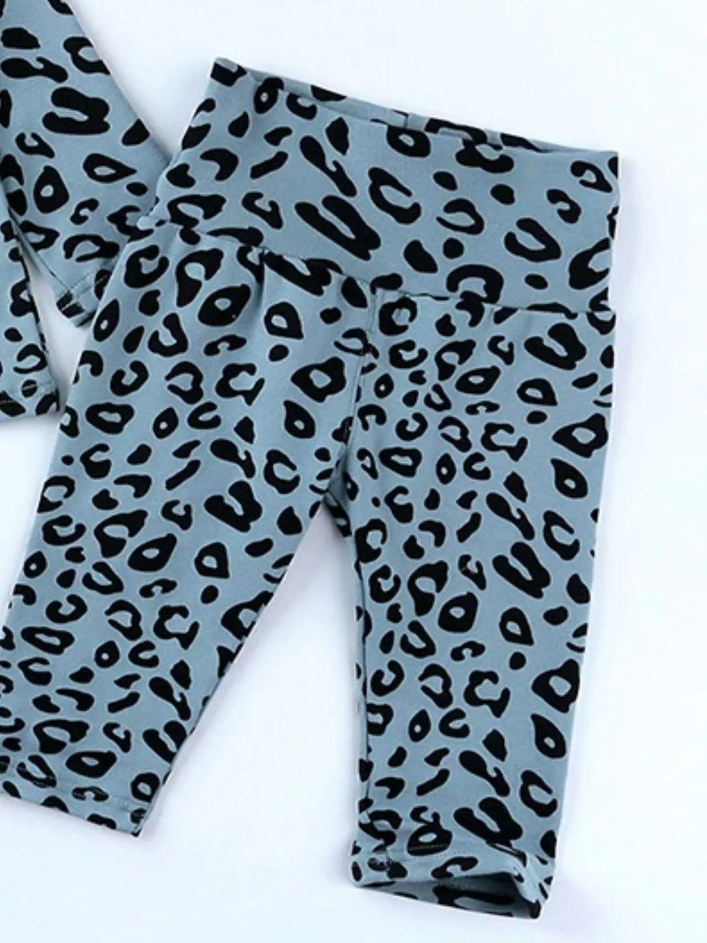 Children's Leopard Print Long Sleeve Top and Pants Set - Crowned Energy CO.