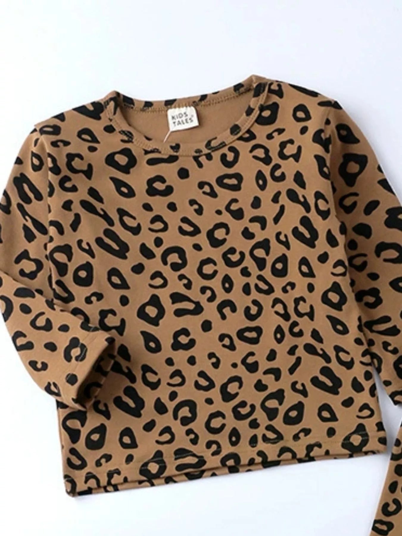 Children's Leopard Print Long Sleeve Top and Pants Set - Crowned Energy CO.