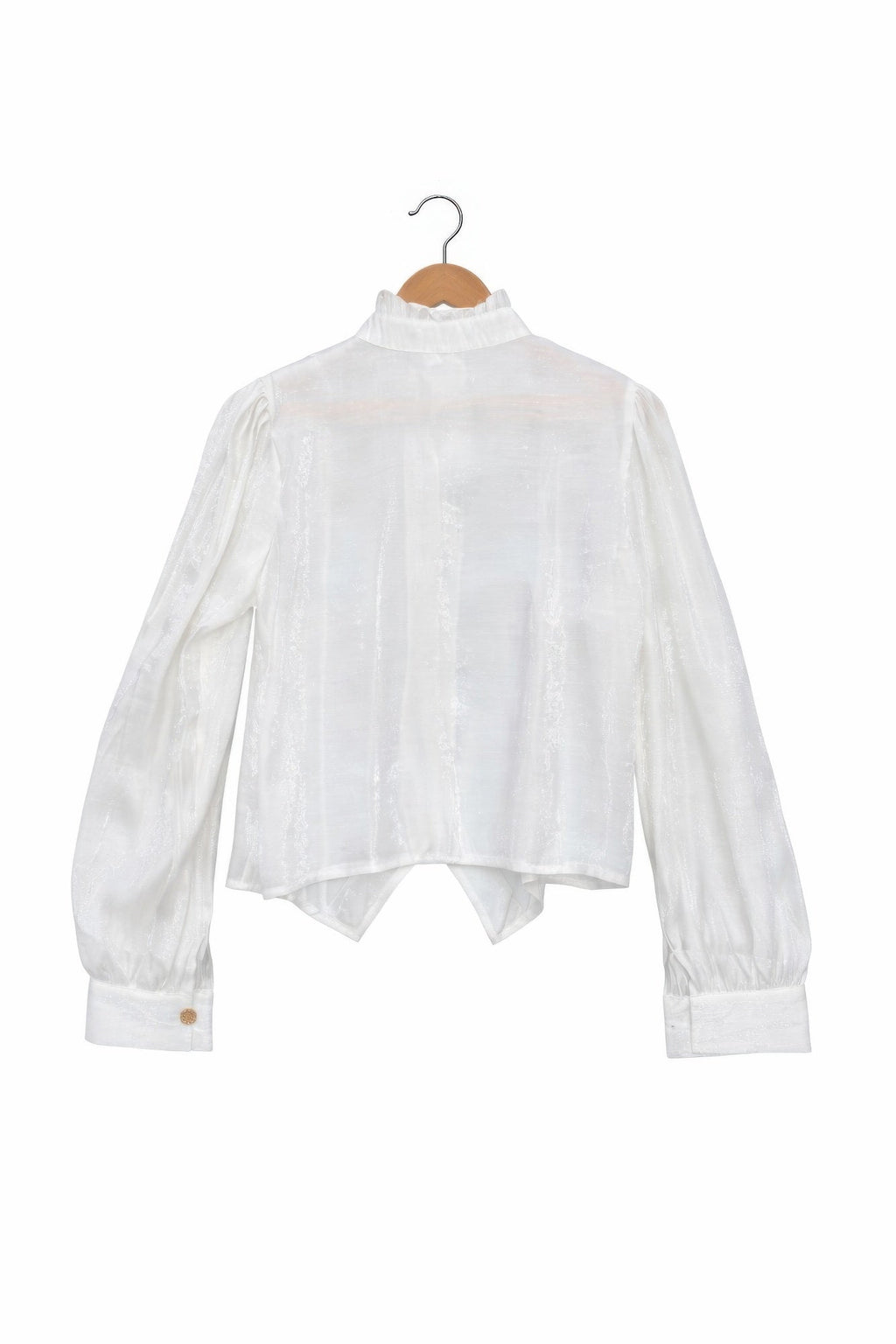 Elegant Satin - finish Victorian Button - up Top - Crowned Energy CO.